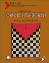 Derechos  Indigenas